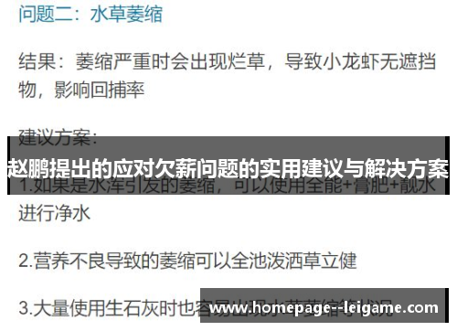 赵鹏提出的应对欠薪问题的实用建议与解决方案